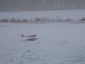 freeze fly 016